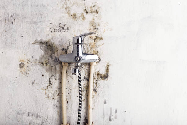 Best Water Damage Restoration  in Edgard, LA