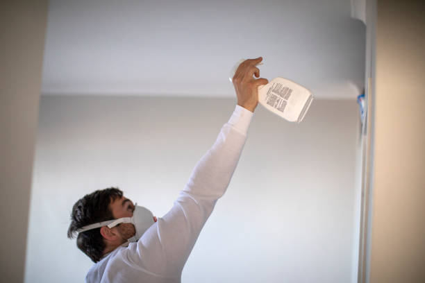 Crawl Space Mold Removal in Edgard, LA