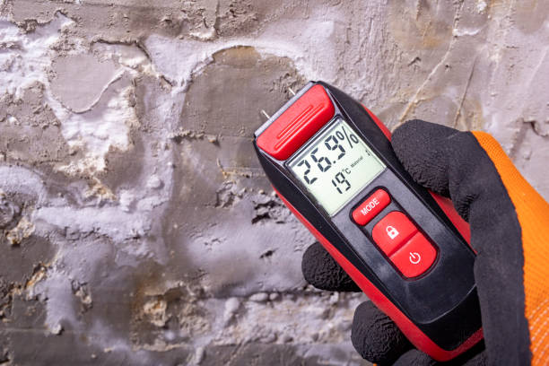 Best Certified Mold Removal  in Edgard, LA