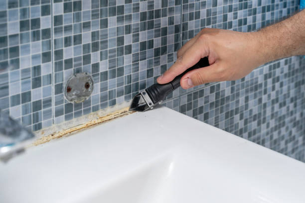 Best Office Mold Removal Services  in Edgard, LA
